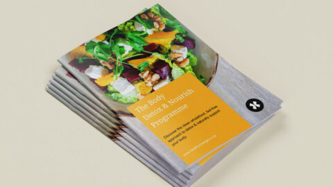 A4_Borchure_Mockup_8-copy---HX-PROGRAMME-2025