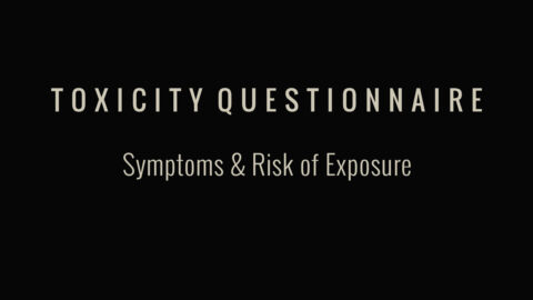 TYPOGRAPHICAL-SLIDES-toxic