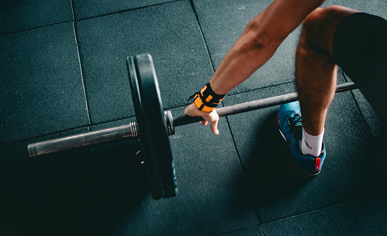protein weights muscles